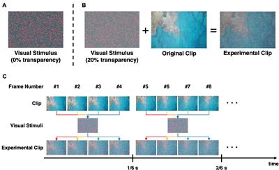 Estimation of Emotional Arousal Changes of a Group of Individuals During Movie Screening Using Steady-State Visual-Evoked Potential